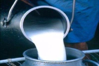 اصلاح قیمت شیرخام در دولت سیزدهم برای پشتیبانی از دامداران