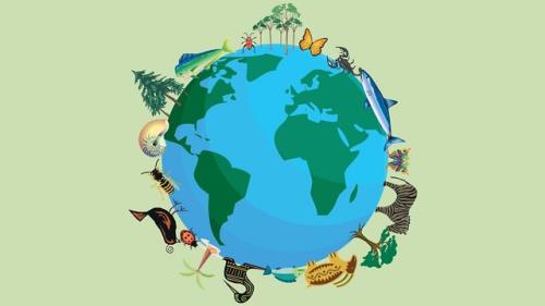 زنگ خطر جدی برای تنوع زیستی جهان