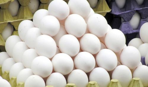 تخم مرغ سال جاری کمترین نوسان قیمتی را تجربه کرد