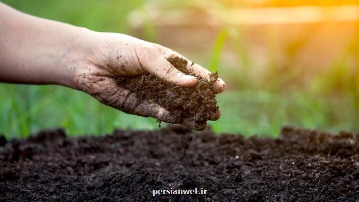 مدیریت سلامت خاک چگونه انجام می شود؟