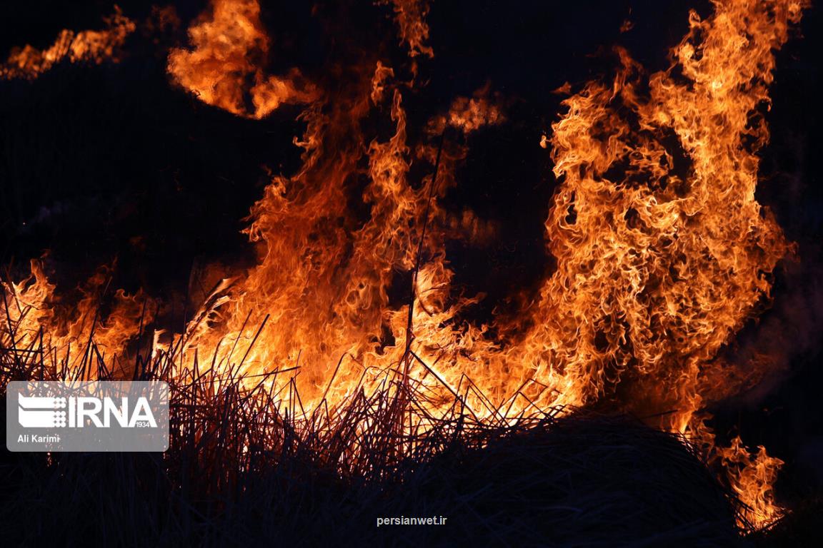 جنگل های هیركانی مازندران در تیررس آتش