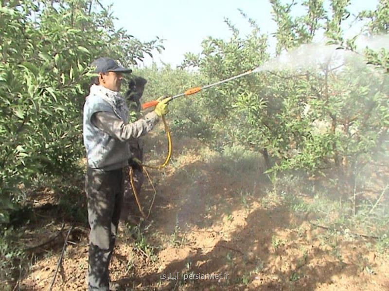 تغییرات اقلیمی مبارزه با آفات باغی در مازندران را جلو انداخت