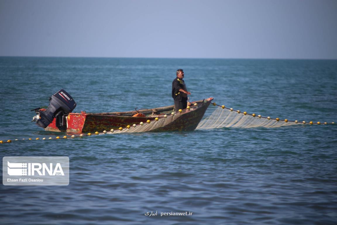 صید ۱۲ و نیم هزارتن ماهی كیلكا دریای خزر طی ۹ ماهه امسال