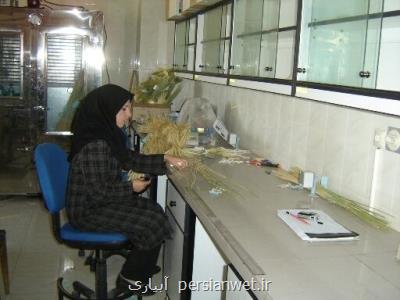 تحقیقات كشاورزی دیم، محصول خودباوری مهندسان ایرانی