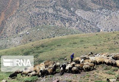 عشایر رفسنجان مشکل کمبود آب دارند