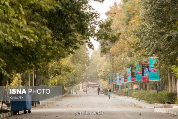 تاثیر منفی گرما و کم بارشی پاییز بر کیفیت هوای تهران