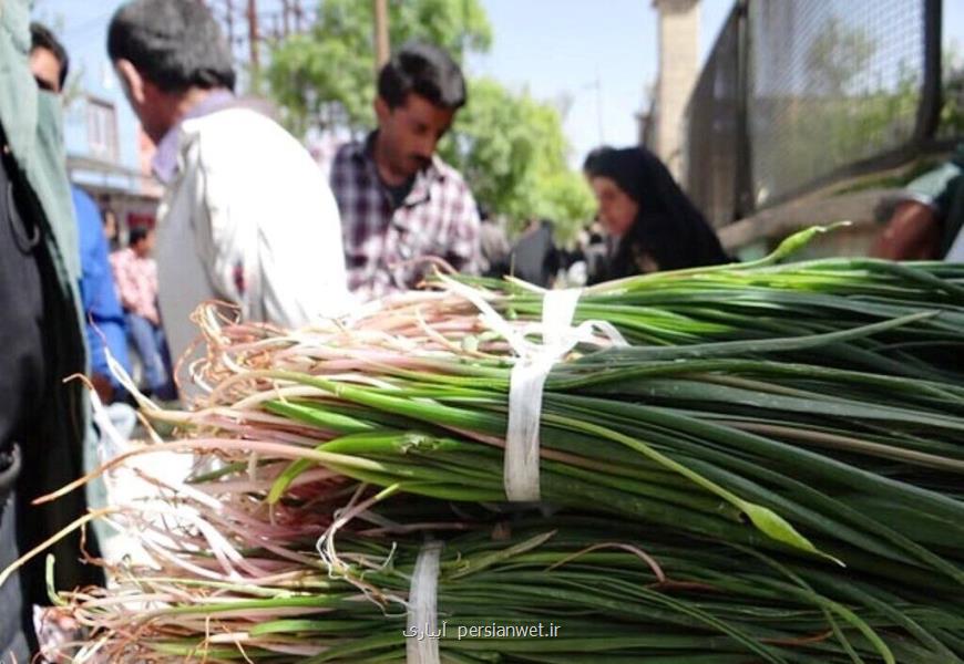 گیاهان بهاری زینت سفره های رنگین آذربایجان غربی
