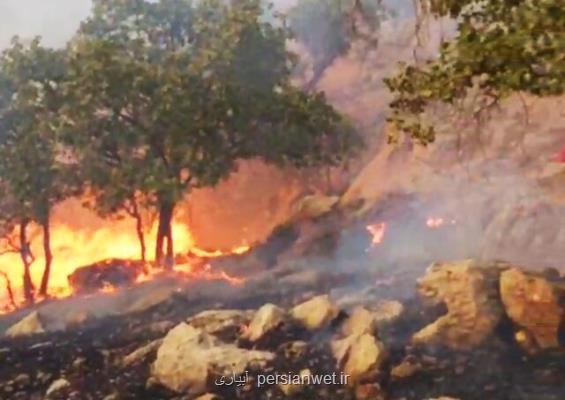 منطقه حفاظت شده دیل گچساران بعد از 4 روز هم چنان در آتش می سوزد