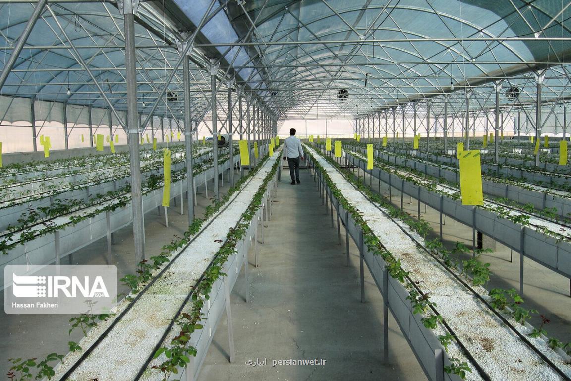 مجوز راه اندازی اولین شهرك گلخانه ای مینودشت صادر شد