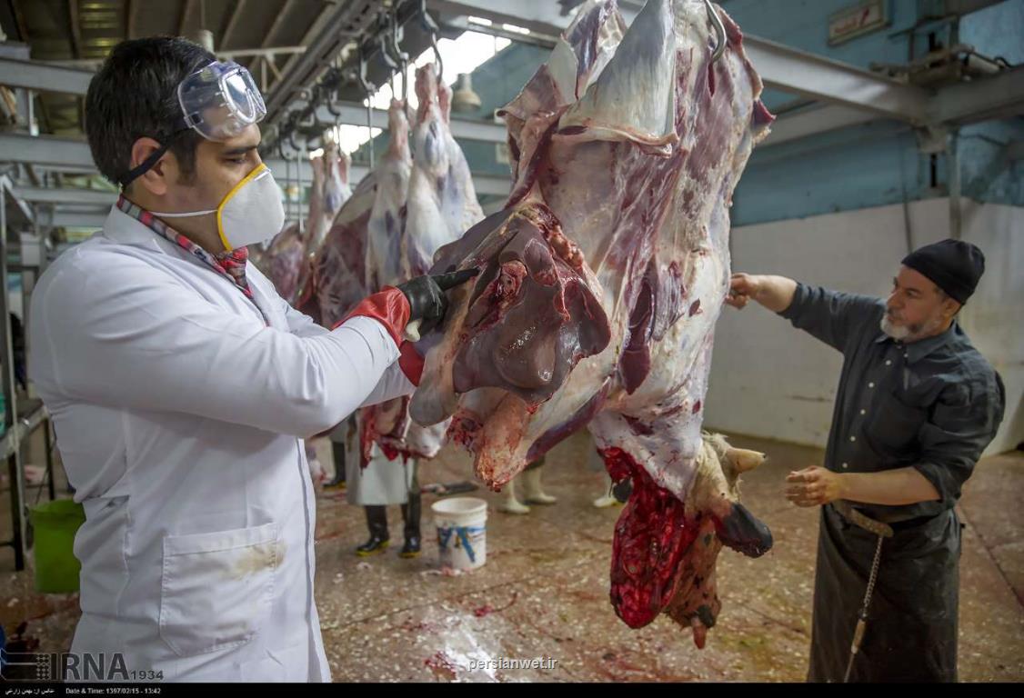 گوشت مورد نیاز بازار كرمانشاه با فعالیت كشتارگاه بیستون تأمین می شود
