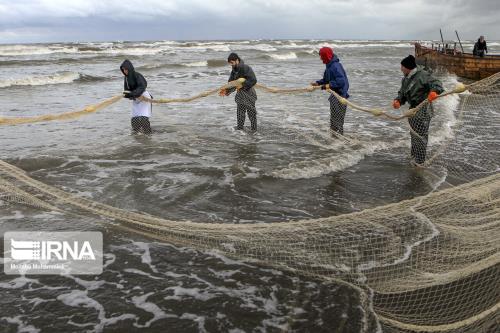 صید ۲۸۶۵ تن ماهیان استخوانی از دریای خزر