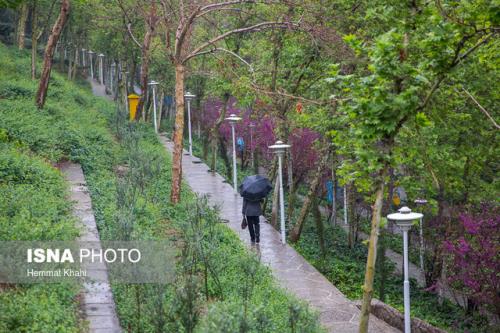 رگبارهای بهاری طی هفته اول فروردین ماه در تهران