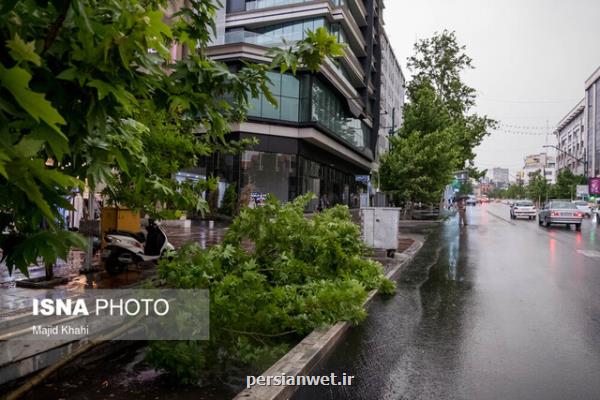 بارش باران و کاهش تدریجی دما در نوار شمالی کشور