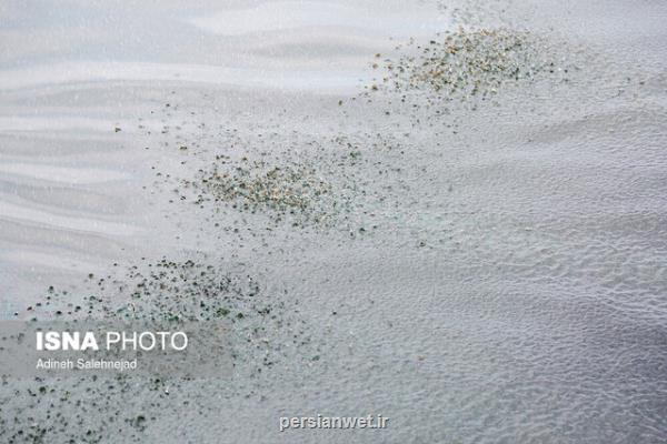 شناسایی منابع گوناگون آلودگی دریاها