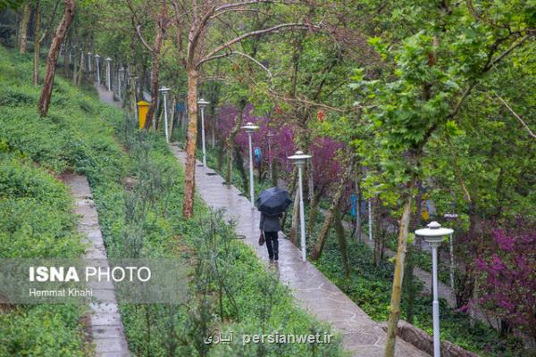 رگبارهای بهاری طی هفته اول فروردین ماه در تهران