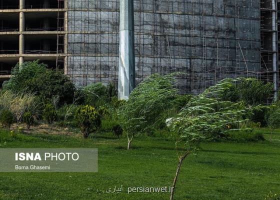وزش باد شدید و گرد و خاک در جنوب وغرب تهران