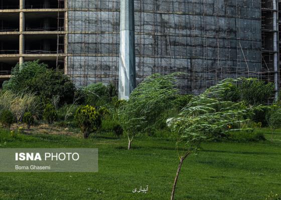 هشدار هواشناسی تهران نسبت به وزش باد شدید، رگبار و رعد و برق