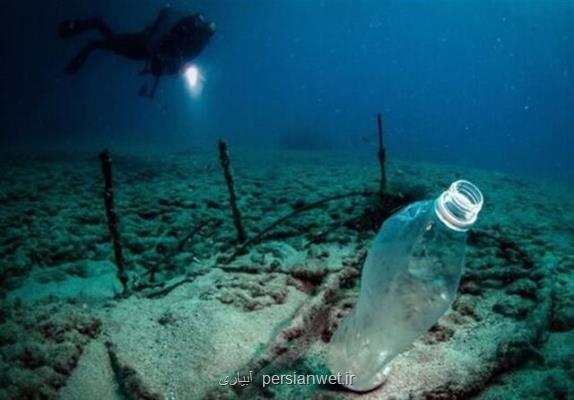 تاثیر پلاستیک بر محیط زیست دریایی