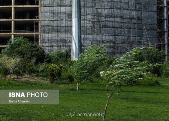 افزایش سرعت باد و خیزش گردوخاک در شهرهای جنوبی استان تهران