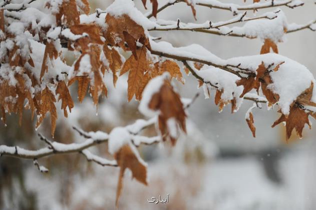 ورود سامانه بارشی به کشور