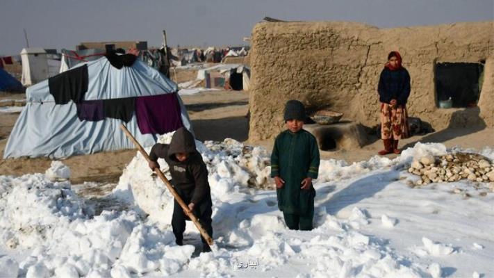 افزایش تلفات سرما در افغانستان