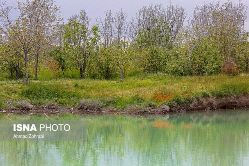 راه اندازی ۲۱ بوستان روستایی در تهران تا انتهای سال