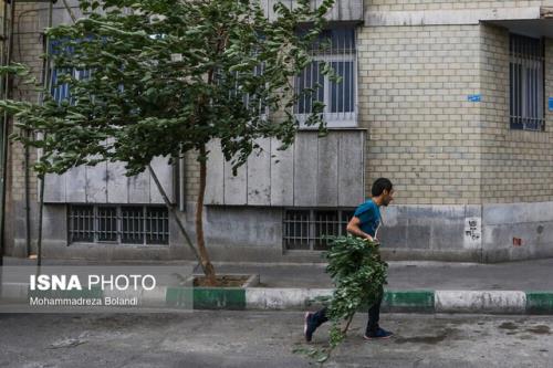 وزش باد شدید و خیزش گرد و خاک در بیشتر نواحی تهران