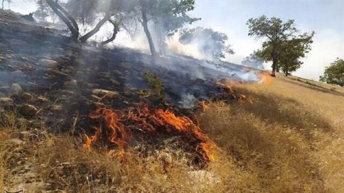 ضرورت تامین پهپاد برای کنترل آتش سوزی در استان مرکزی
