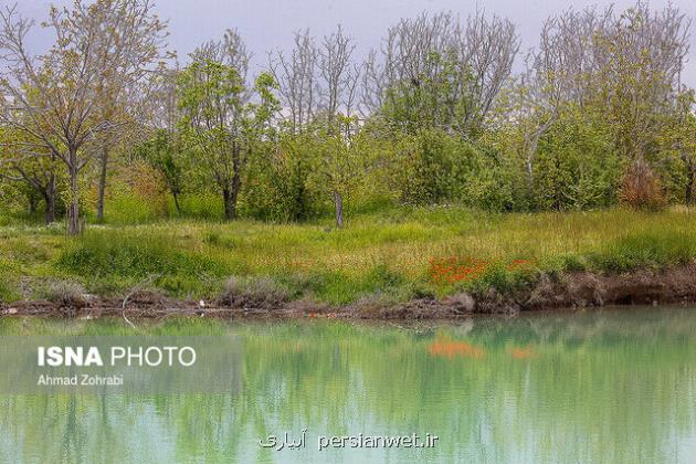 راه اندازی ۲۱ بوستان روستایی در تهران تا انتهای سال