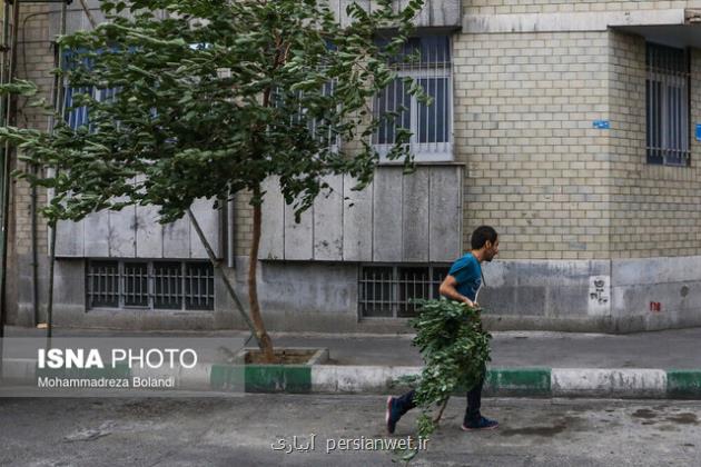 وزش باد شدید و خیزش گرد و خاک در بیشتر نواحی تهران