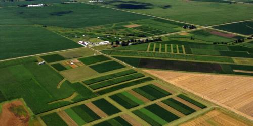 حداقل ۶۲ درصد اراضی کشاورزی کشور سند مالکیت تک برگ ندارند