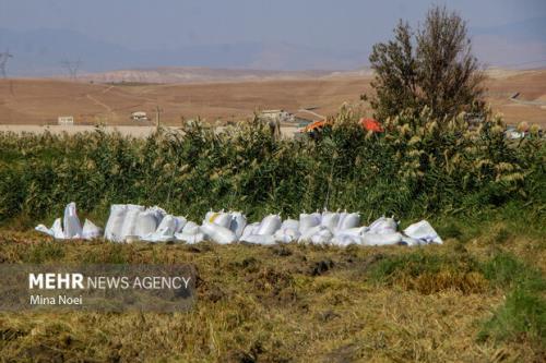 بیشترین مانع در روستاها برای تجمیع اراضی فرهنگ سازی است