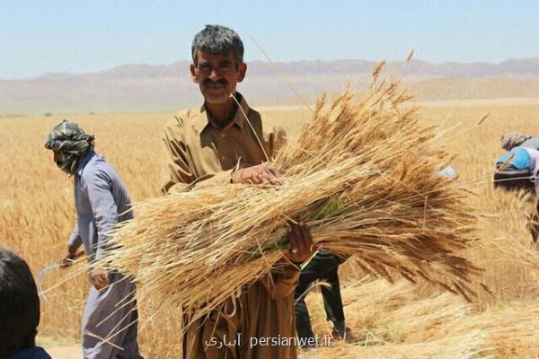 آیا مطالبات گندمکاران به صورت کامل تسویه می شود؟