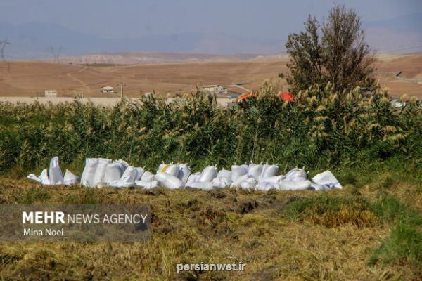 بیشترین مانع در روستاها برای تجمیع اراضی فرهنگ سازی است