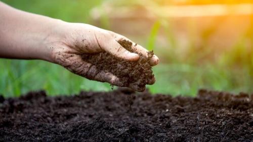 مدیریت سلامت خاک چگونه انجام می شود؟