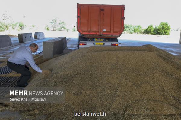 تمهیدات لازم برای نگهداری دسترنج کشاورزان خوزستانی درنظر گرفته شد