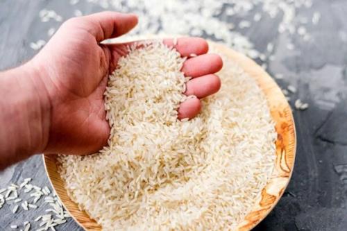 گرانی برنج زیر ذره بین نهادهای قضایی مواجهه با تخلفات بازار کالا