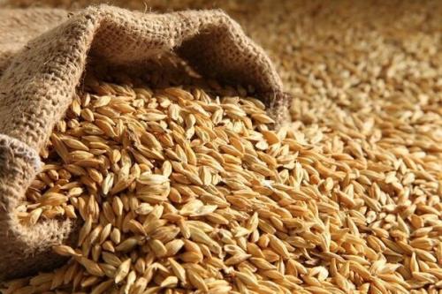 ثبت سفارش جدید جو فردا شروع می شود