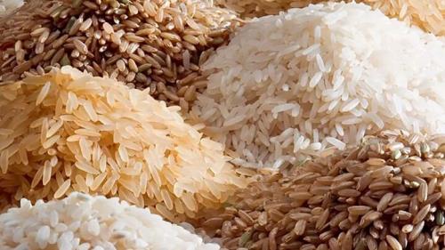 ناترازی در بازار برنج از انحصار نوع ایرانی تا گم شدن نوع خارجی