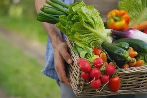 جهان برای تامین امنیت غذایی چاره ای جز پذیرش تراریخته ها ندارد