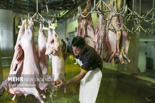 تنظیم بازار با واردات 10 درصد گوشت مورد نیاز کشور شدنی است