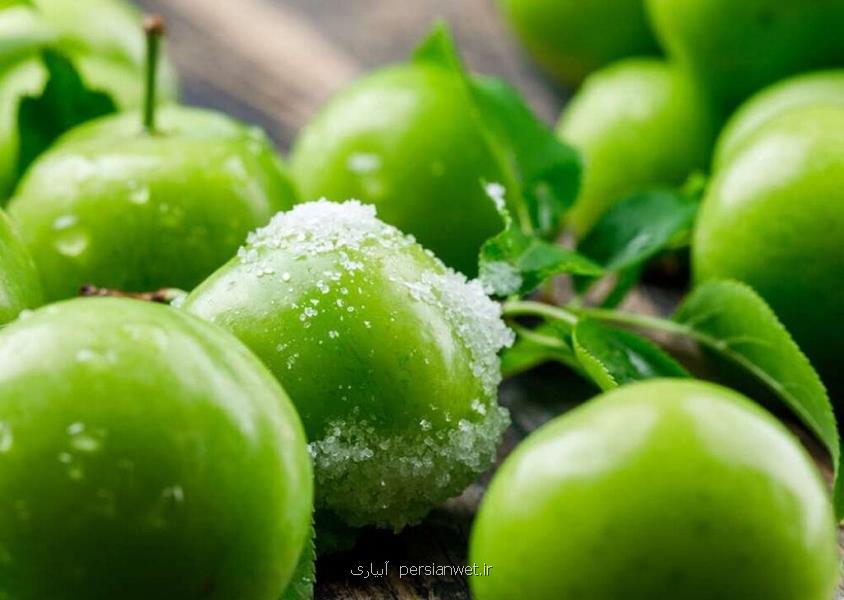 قیمت عمده فروشی انواع میوه و صیفی