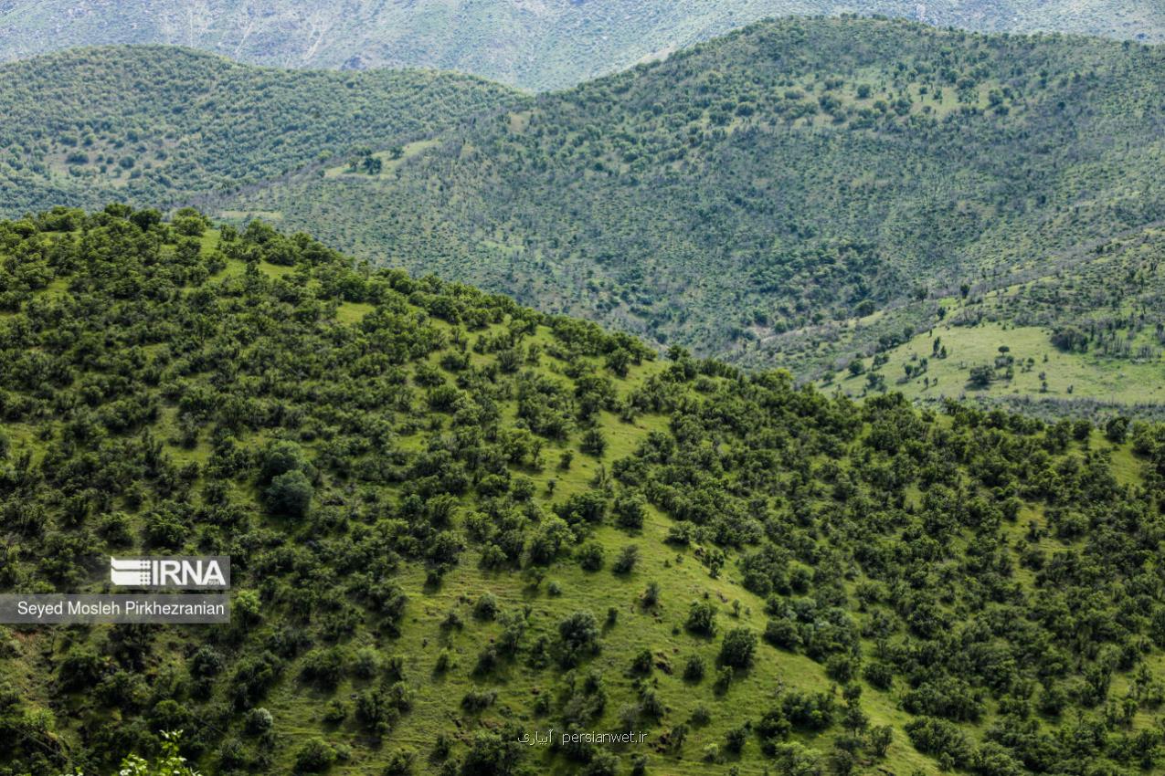 راهکارهای علمی و نوین برای حفظ ریه های ایران