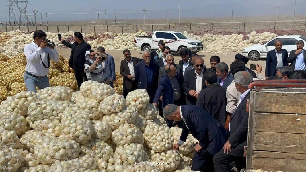 کشاورز نباید تاوان قاچاق سوخت را بدهد