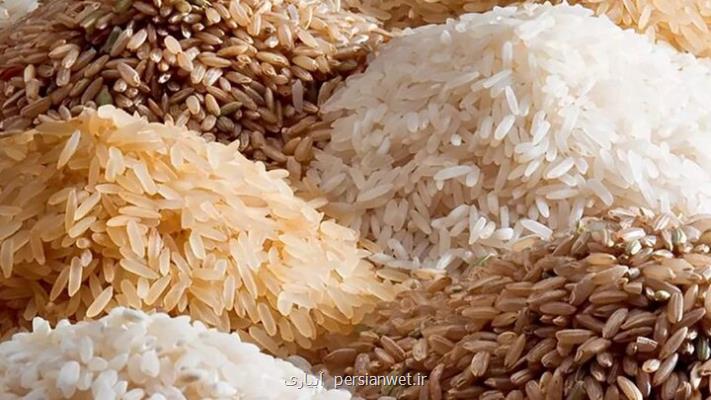 ناترازی در بازار برنج از انحصار نوع ایرانی تا گم شدن نوع خارجی