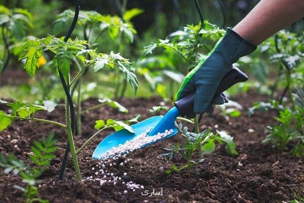 مصوبه پرداخت تسهیلات تهیه و تدارک کودهای کشاورزی ابلاغ گردید