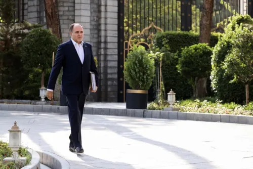 قیمت مرغ اصلاح شده و علتی برای گرانی وجود ندارد