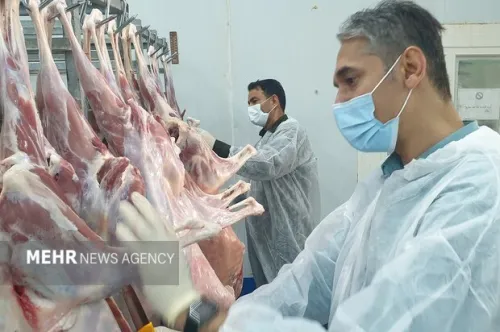 ۲۷ پروژه در حوزه دامپزشکی افتتاح خواهد شد