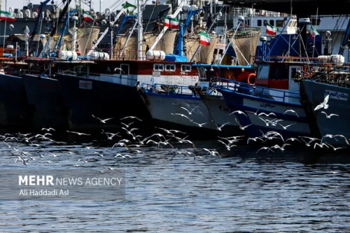 توقف حرکت کشتی ها به بنادر ایران و بالعکس تکذیب شد