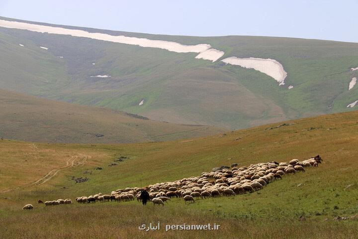 مراتع، کمربند سبز مواجهه با بیابان زایی است